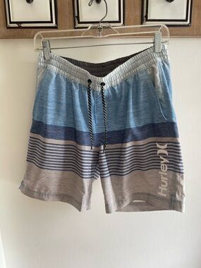 Hurley Blue and Gray Striped Swimtrunks